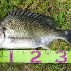 お花見前のプチチニング