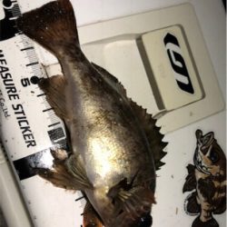 メバソイメバメバ