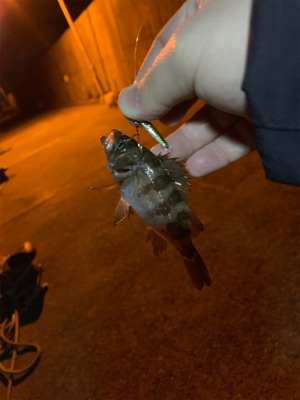 ランガンメバリング