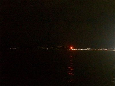 アジンガー1835〜1935