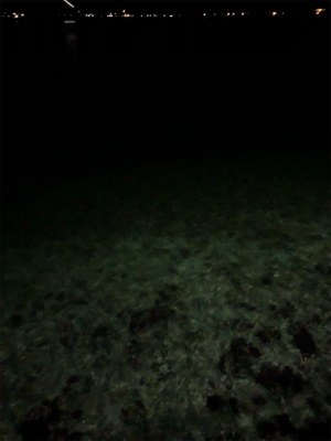 ナイトアジング