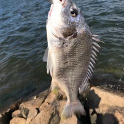 爆風黄チニング