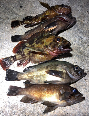 爆絶ウィンドライトゲーム