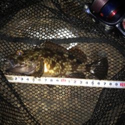 ガシリング  広畑埠頭(^.^)