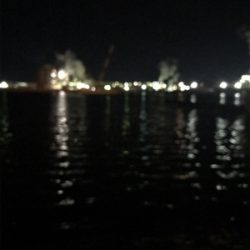 何とかミニガシラでボウズ逃れ^^;