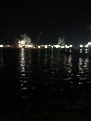 何とかミニガシラでボウズ逃れ^^;