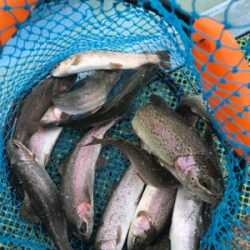 平成最後の栃木総合運動場フィシングフィールド