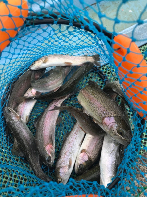 平成最後の栃木総合運動場フィシングフィールド