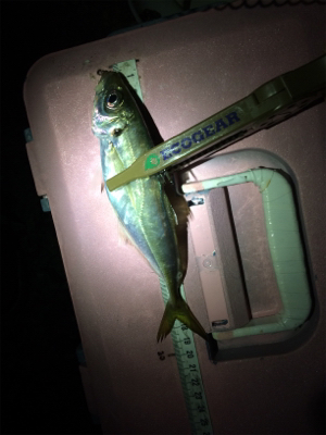 5目ライトゲーム(*^ω^*)