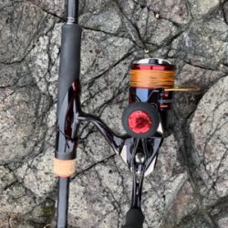 アオリイカ釣果！