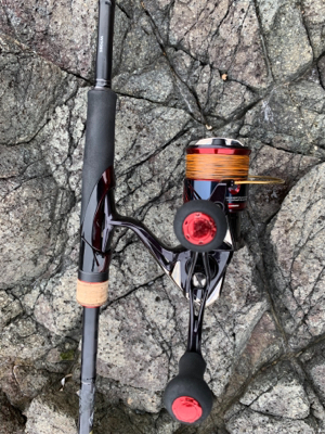 アオリイカ釣果！