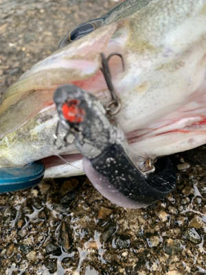 ラストチャンスで♫