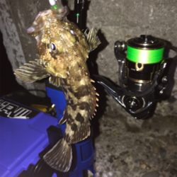 月曜から夜更かし