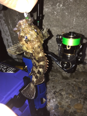 月曜から夜更かし