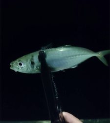 仕事終わりの一息