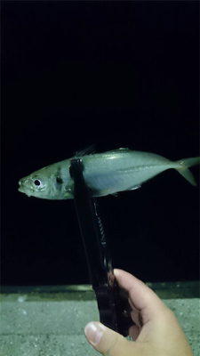 仕事終わりの一息