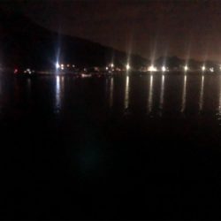 人生初アオリイカ