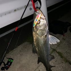 いつもの場所で