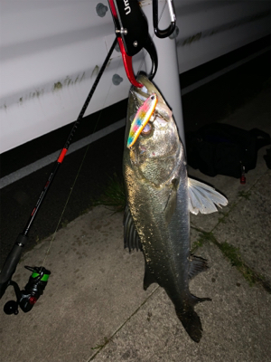 いつもの場所で