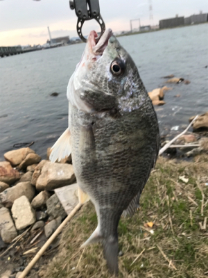 黄チニング上達しました