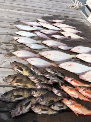 SFC プライベートボートで仙台湾五目釣り