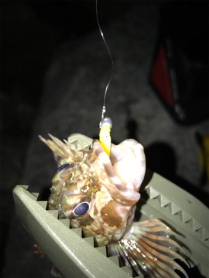 連日の夜更かし