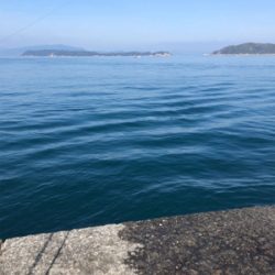 絶好の釣り日和だから…期待大❗️