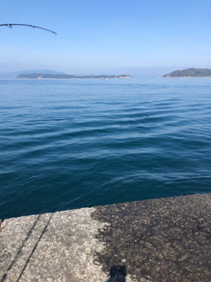 絶好の釣り日和だから…期待大❗️