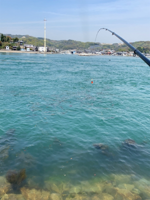 前島 地磯 チヌフカセ