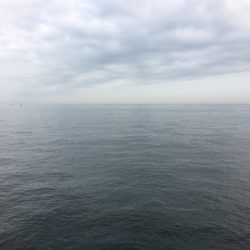 サバはやっぱりムリ