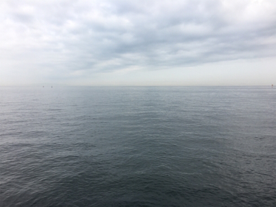 サバはやっぱりムリ