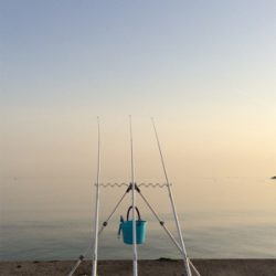 渋い中の1匹だけど大きかった