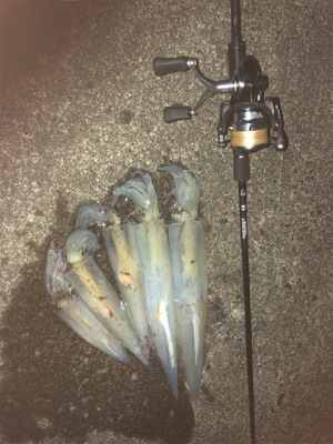 決戦は金曜日！！