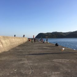 加太でアジ、マイワシ！入れ食い！