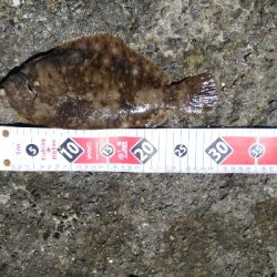 最高の釣行（投釣り、穴釣り）