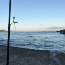 アジングなのに