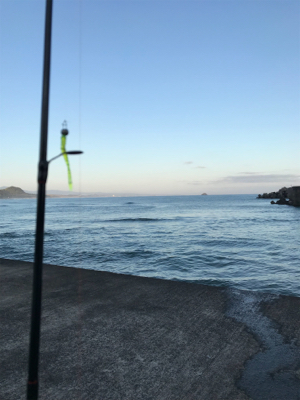 アジングなのに