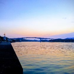 ヒラメ釣り！！