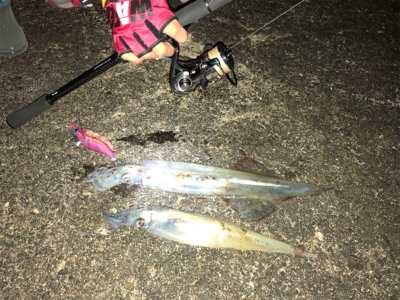 昨夜に引き続き！今夜は息子と共に(^｡^)