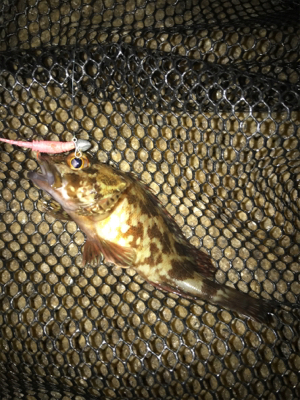 ガシリング サイズが…(><)