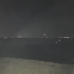 釣れてますよ！