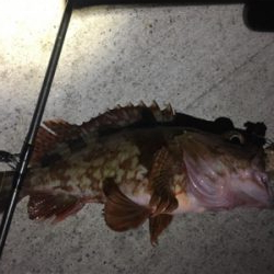 タチウオとイトヒキアジ