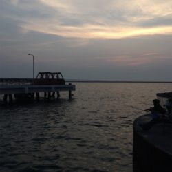 泉佐野 食品コンビナート 渋い！