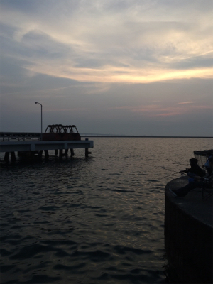 泉佐野 食品コンビナート 渋い！