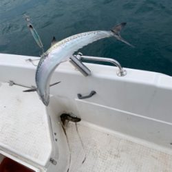 2時間ちょいの短時間釣行