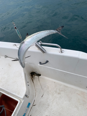 2時間ちょいの短時間釣行