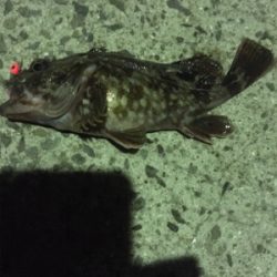 やっぱり尾崎❗️