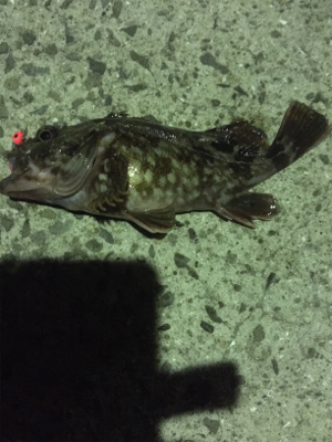 やっぱり尾崎❗️