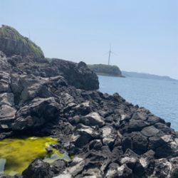 ショアジギングで根魚オンパレード