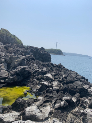 ショアジギングで根魚オンパレード